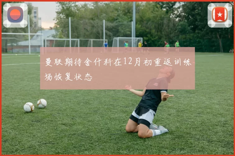 曼联期待舍什科在12月初重返训练场恢复状态